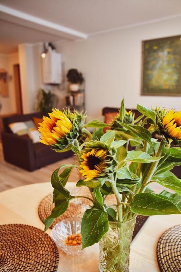 Central Park Apartment Birštonas Dış mekan fotoğraf